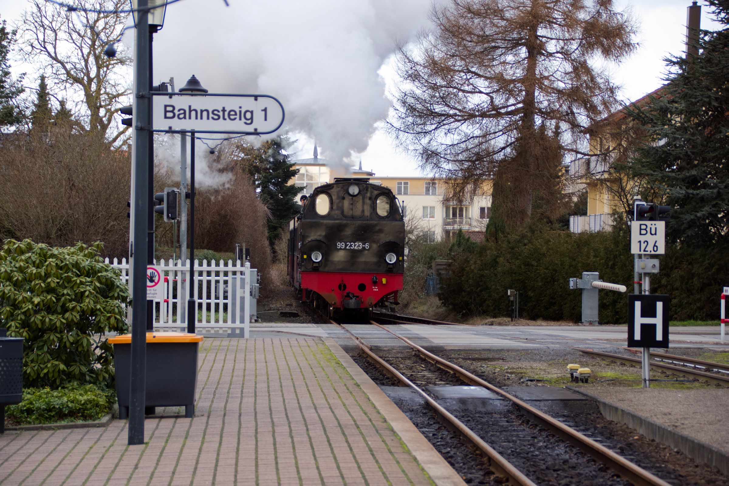 Molli Bahn Bad Doberan